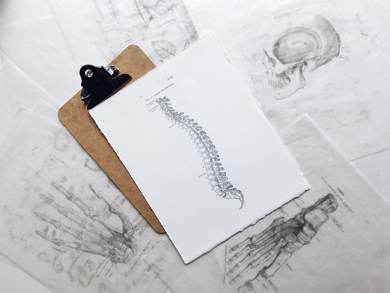 Read more about the article How to Fix Spine Curve