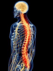 Read more about the article Ready to have a healthy spine?